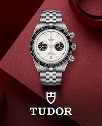 Tudor image