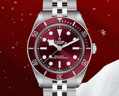 Tudor Black Bay 58 Watch Image image
